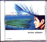 Brian Wilson - Your Imagination 